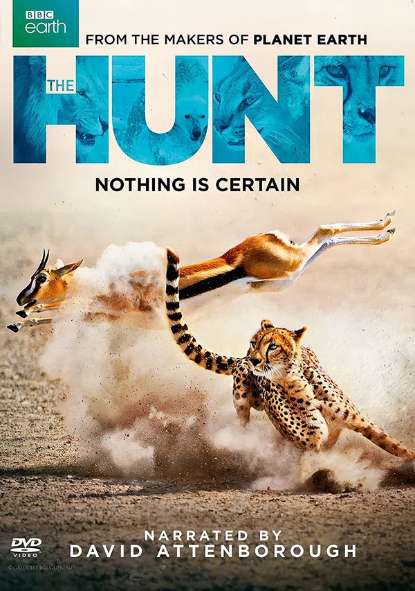 Poster phim Săn Mồi trên Xem Phim Fun